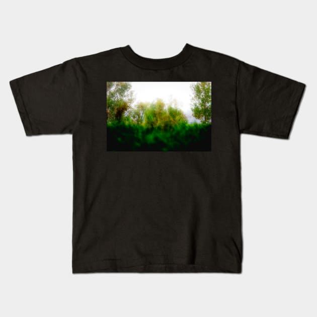 Misty day in the park Kids T-Shirt by CanadianWild418